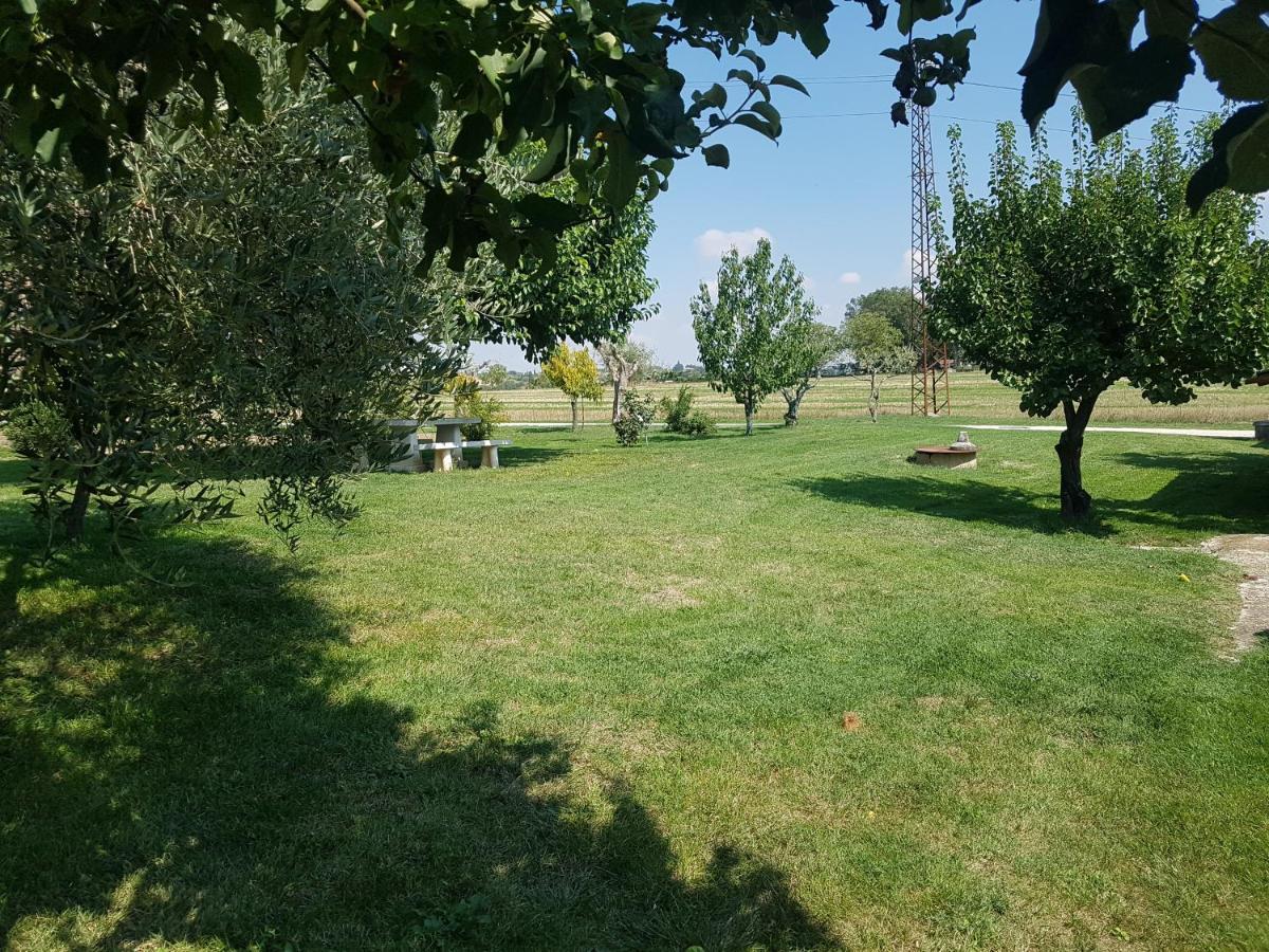 "La Grancia" Country House Guest House Treia Exterior foto